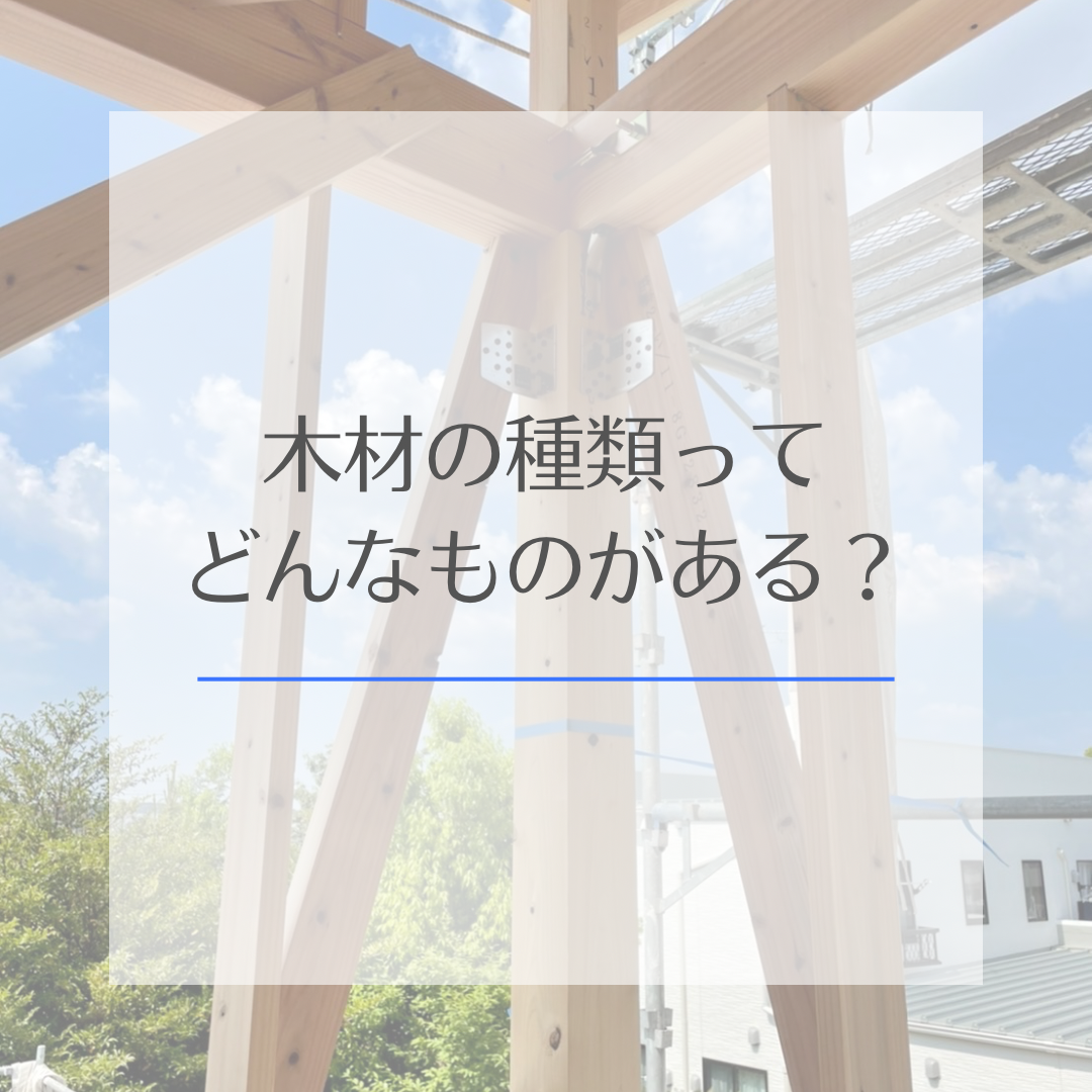 木材の種類ってどんなものがある？ 画像
